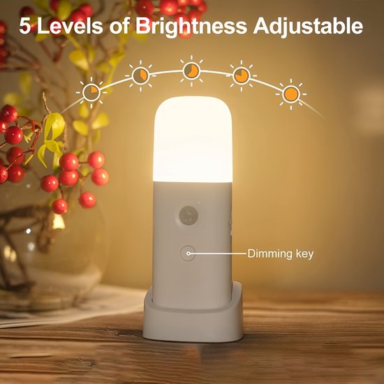 Een LED-nachtlampje met bewegingssensor, oplaadbaar via USB, dimbaar, multifunctioneel, met ingebouwde oplaadbare batterij van 2000 mAh. Dit draagbare nachtlampje met bewegingssensor is geschikt voor woonkamers van Merkloos — afbeelding 4