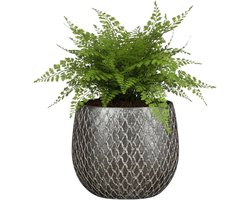 Mica decorations Bloempot / plantenpot Madeira - zilver - terracotta - 14 x 14 cm - schubbenpatroon