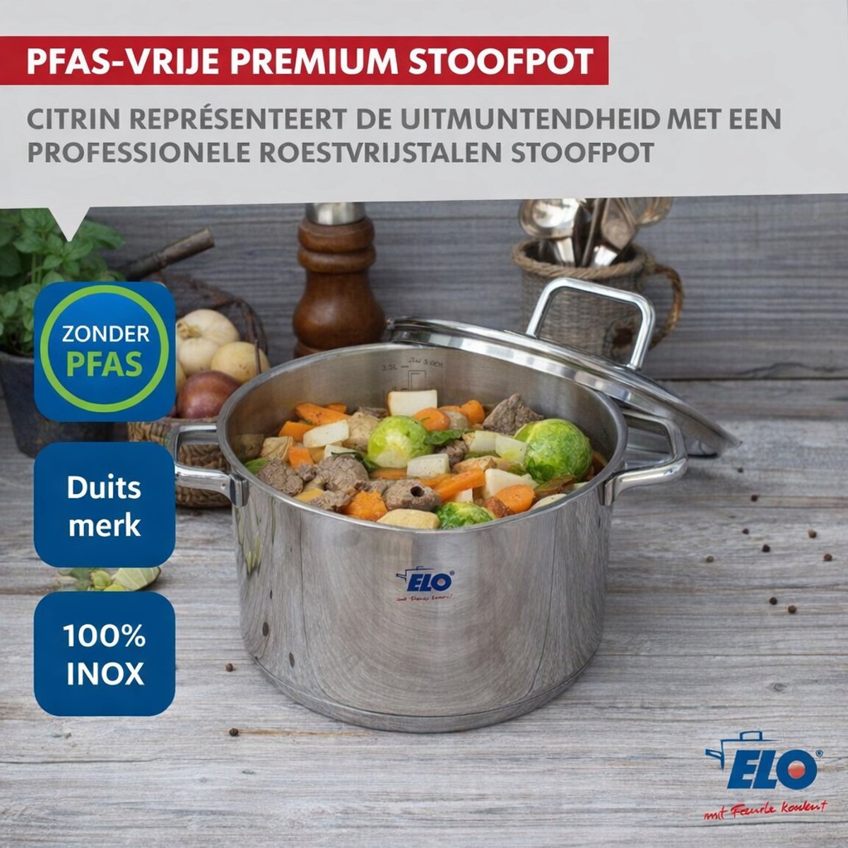 RVS pan 12 cm van 0,6 liter Elo Citrin