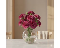 Roze Dianthus of Anjers | Lengte 70 centimeter | Dianthus Bach | Per 20 verse bloemen