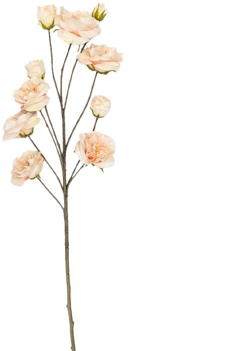 Kunsttak Rose Cream - 123 cm