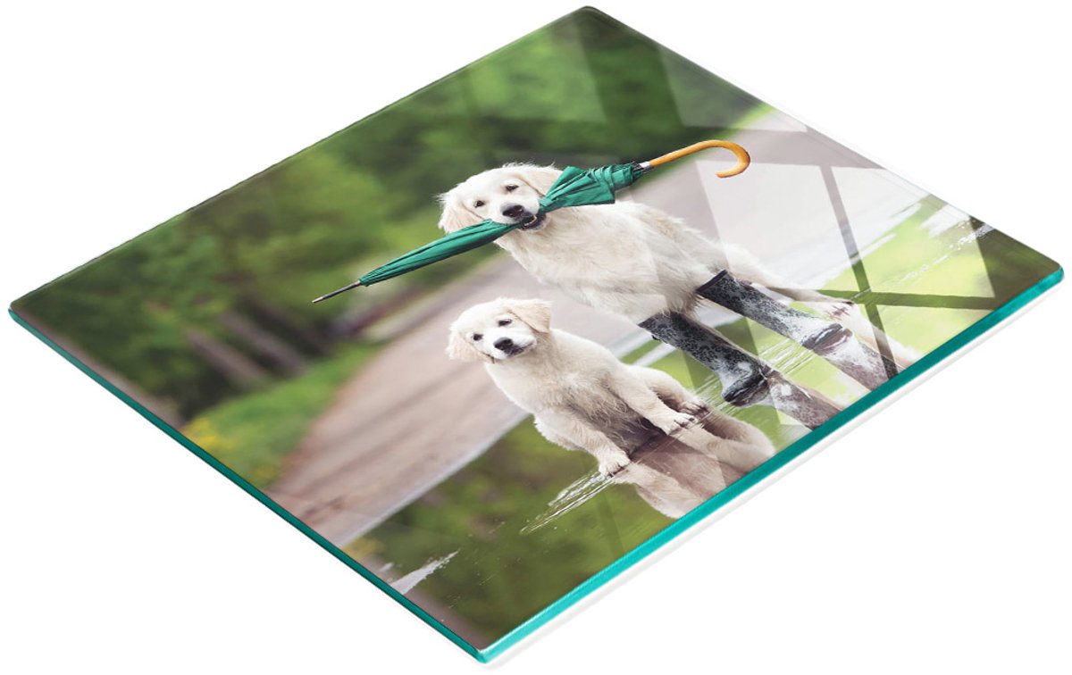 Decoratieve glazen snij- en serveerplank met Golden Retriever-motief, 60x52 cm