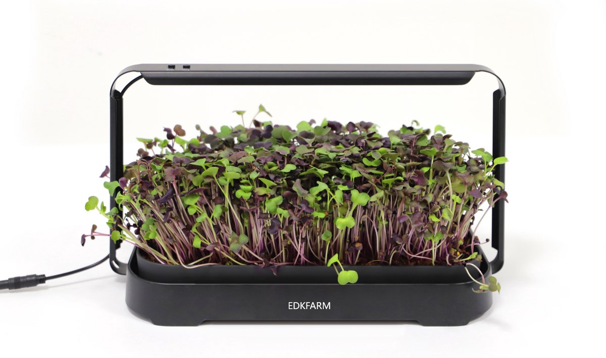 Smart Garden Kit met LED Groeilamp – Microgreens & Kruiden Binnen Kweken – Indoor Kruidentuin – 12U Timer – Mini Moestuin voor Keuken of Vensterbank