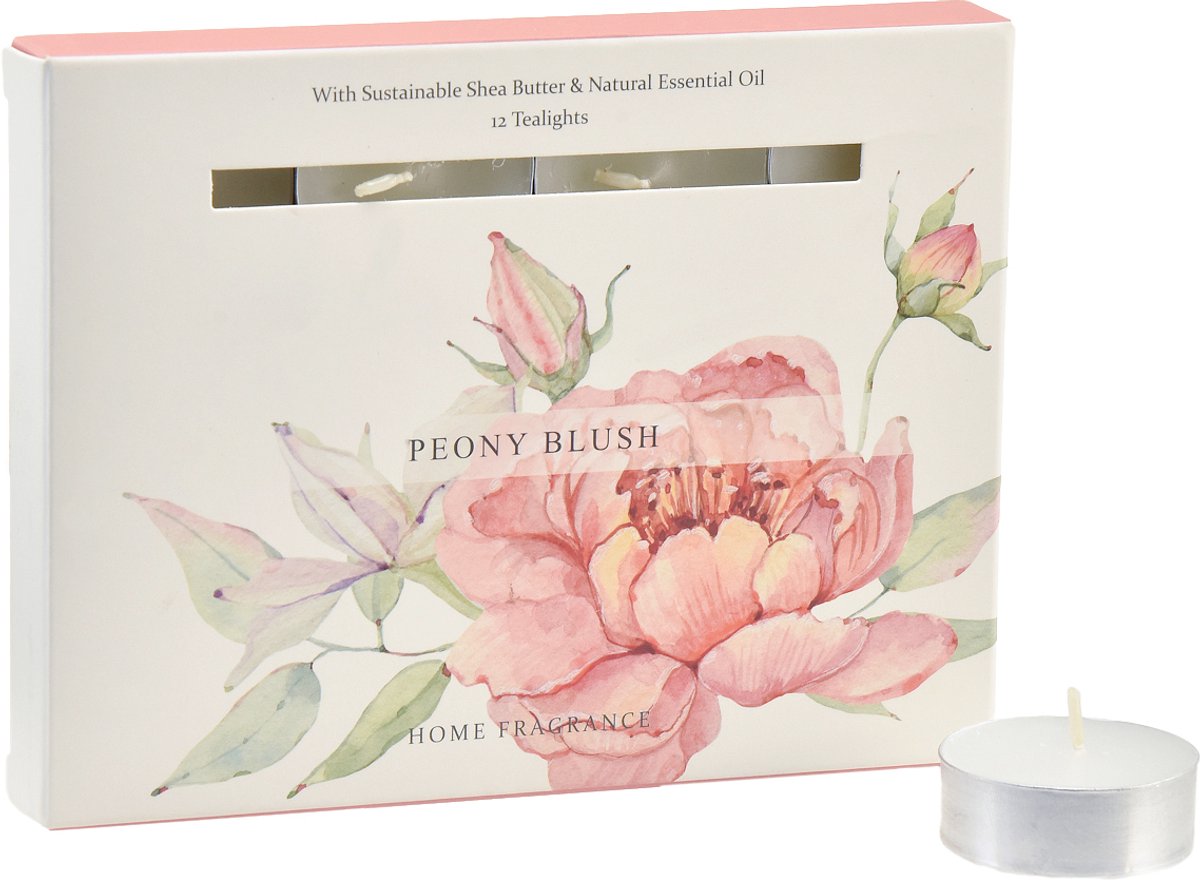 Decoris Theelichten Peony Blush 12 stuks crème