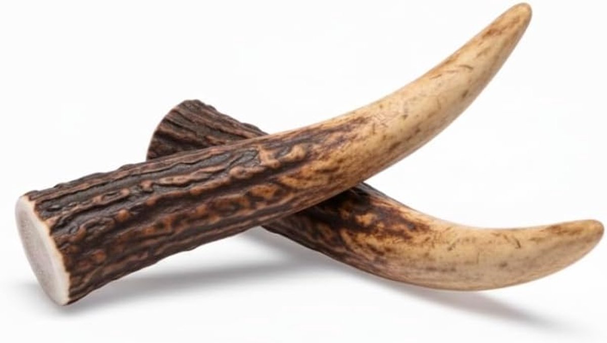 Honden kauwgewei - Natuurlijk kauwspeelgoed - Mondhygiëne stimuleren - 100% natuurlijk hertshoorn - Maat S 2 stuks