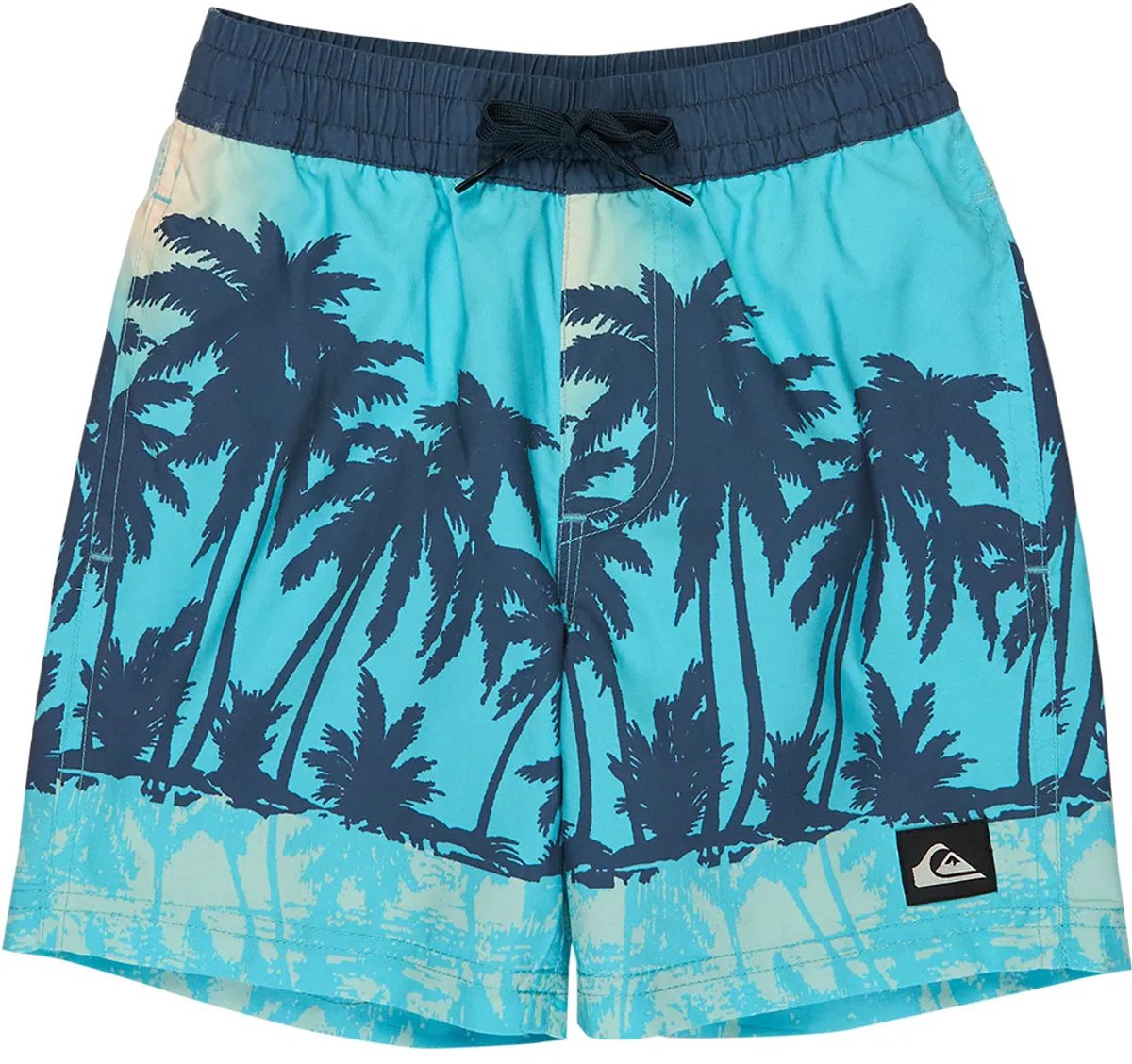 Quiksilver Everyday Printed Volley 13´´ Zwembroek 5 Years Jongen Aqua Thermotropics