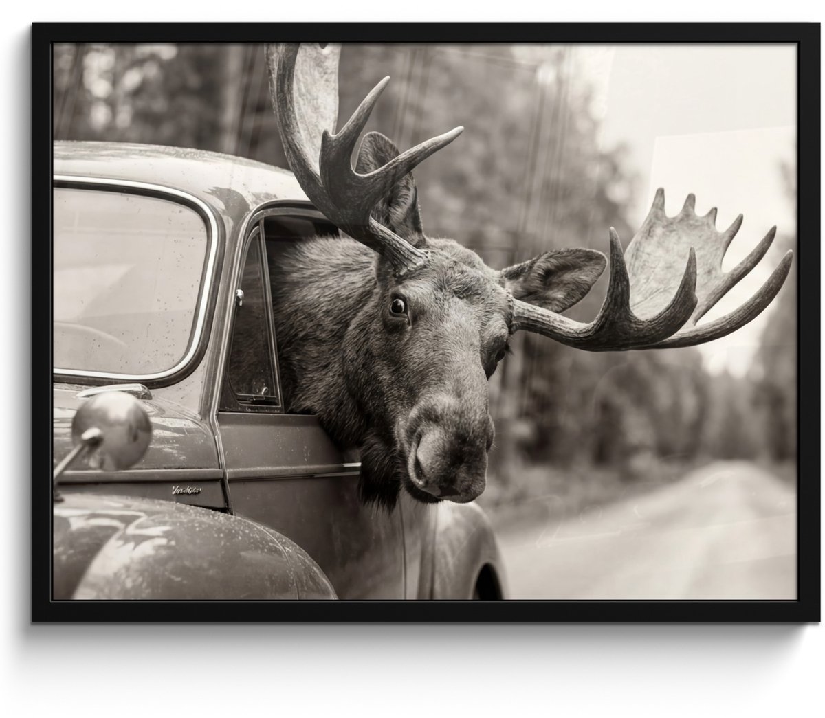 FrameYourWall Poster in lijst - Fotolijst 70x50 cm - Posters - Eland - Auto - Gewei - Zwart - Wit - Posterlijst zwart - Decoratie - Wanddecoratie woonkamer - Muurdecoratie slaapkamer