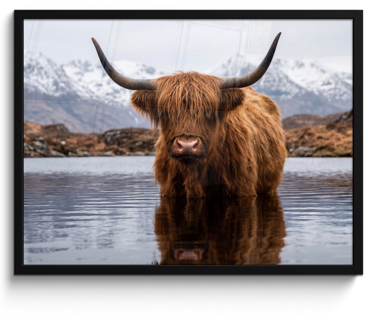 FrameYourWall Poster in lijst - Fotolijst 70x50 cm - Posters - Schotse hooglander - Bruin - Water - Posterlijst zwart - Decoratie - Wanddecoratie woonkamer - Muurdecoratie slaapkamer