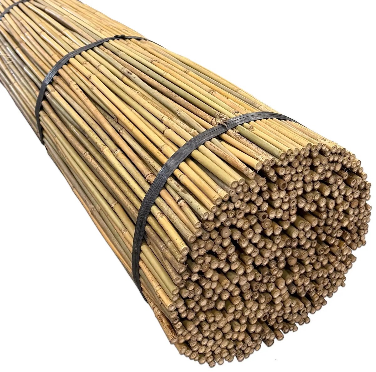 Masters of Bamboo® Bamboestokken Tonkin Ø 6-8 mm - 60 cm - 500 stuks