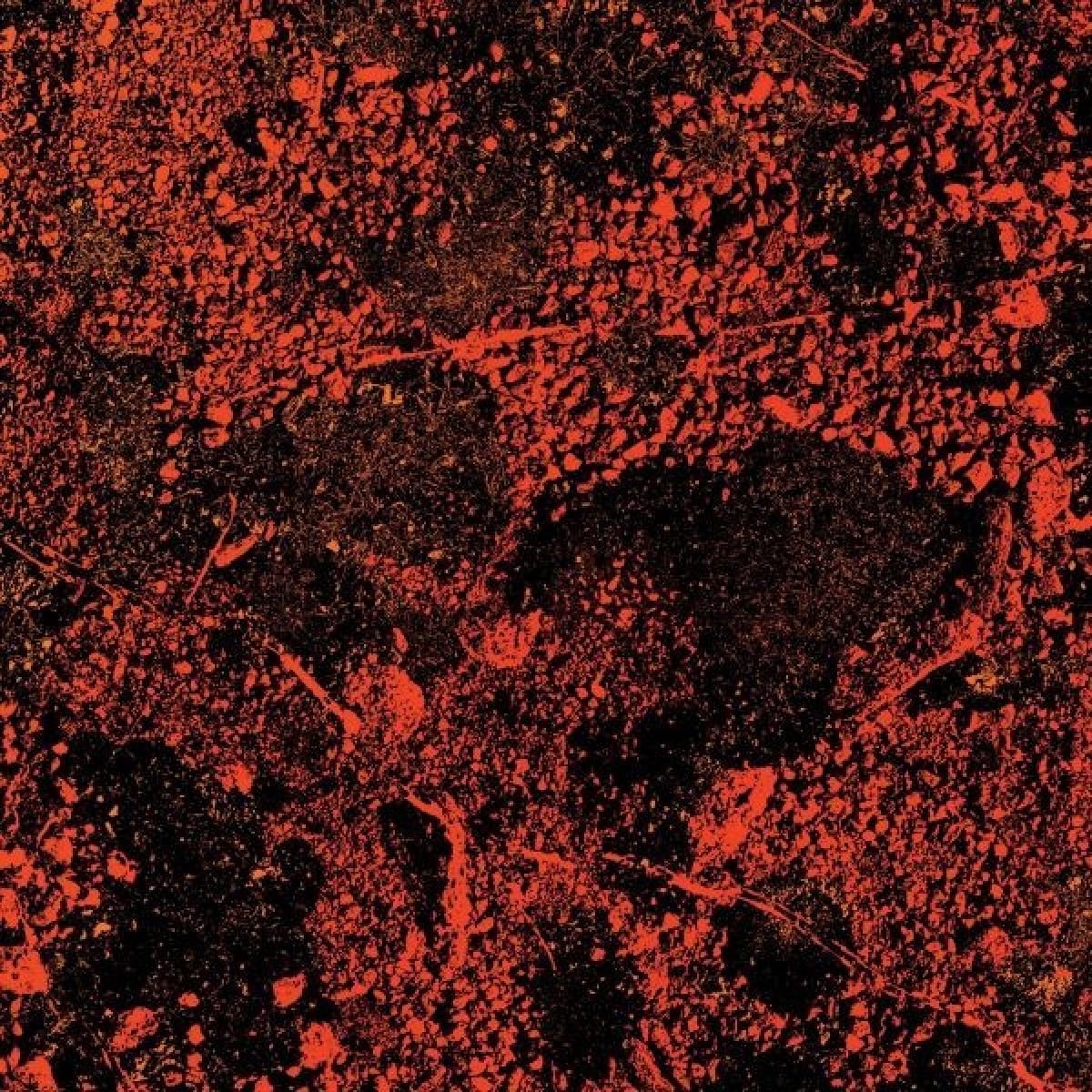Murder of the Universe