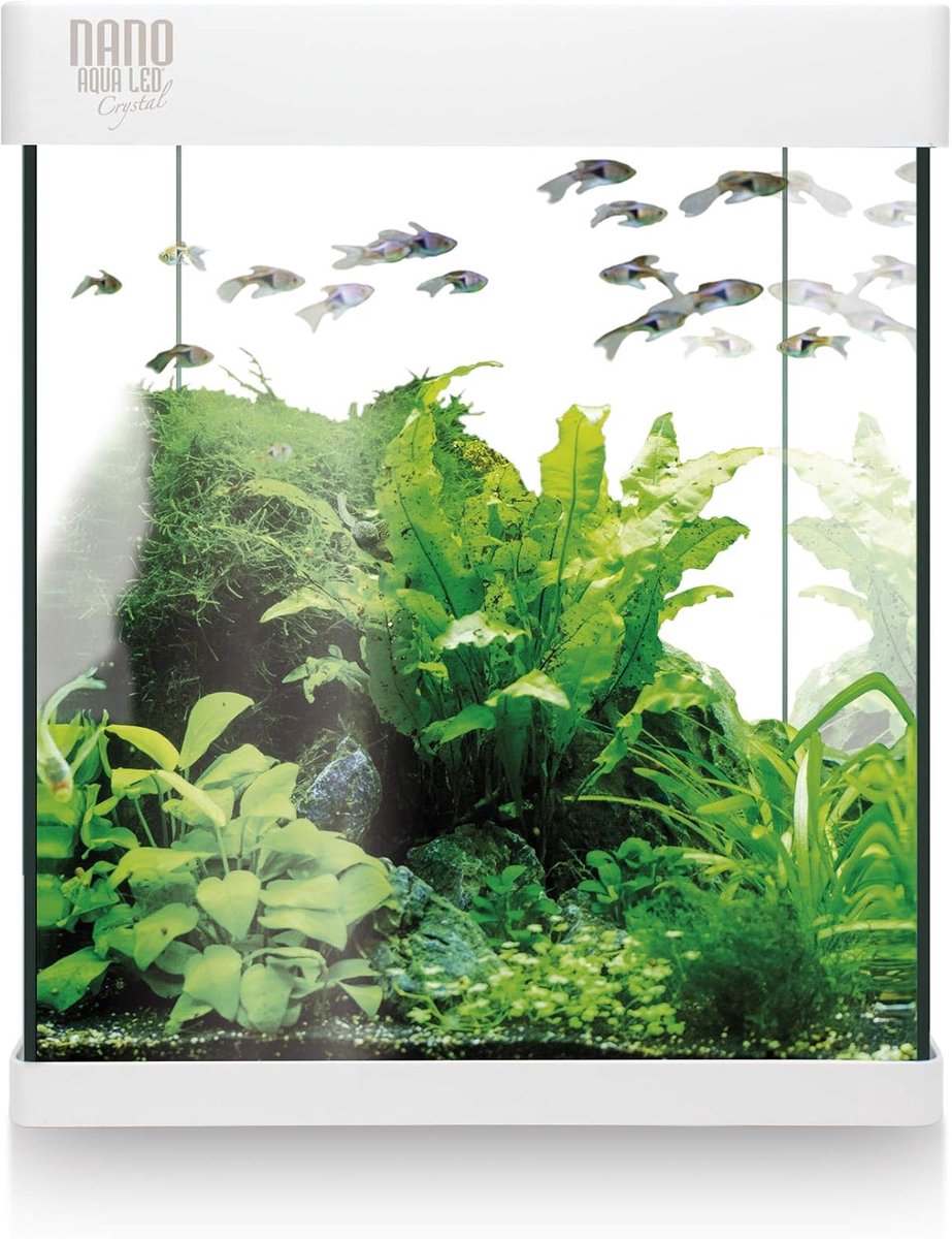 Nano Aqua LED Kristal Aquarium Set - 10 Liter - Complete Fish Tank