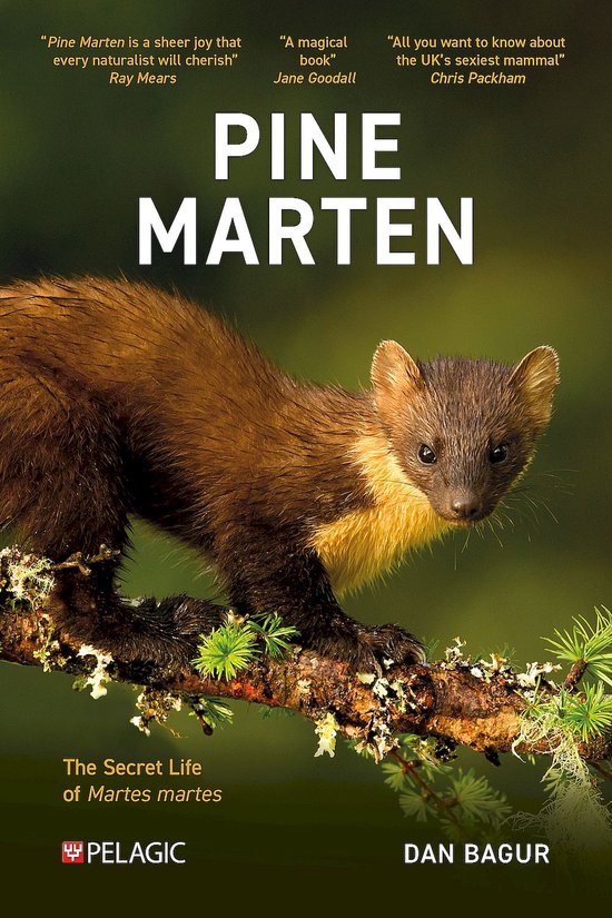 Pelagic Monographs- Pine Marten - cover
