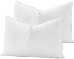 Set van 2 Luxe Donsveren Kussens 50x70 cm - 100% Katoen & Hypoallergeen