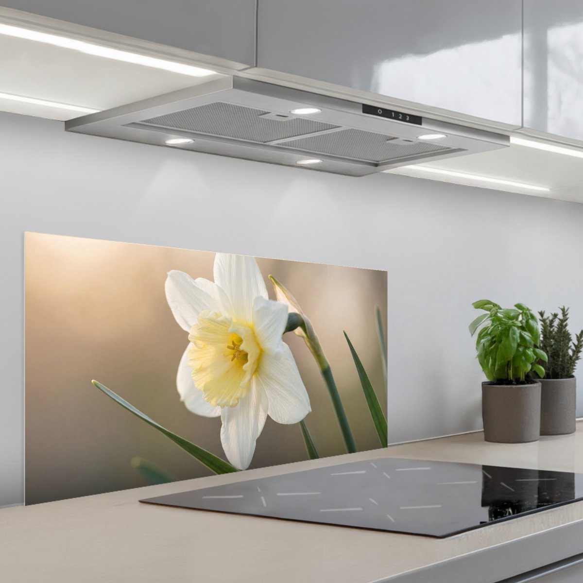 Spatscherm 80x40 cm - Zelfklevende achterwand Narcis - Bloem - Minimalistisch - Keuken muurbeschermer - Spatwand fornuis
