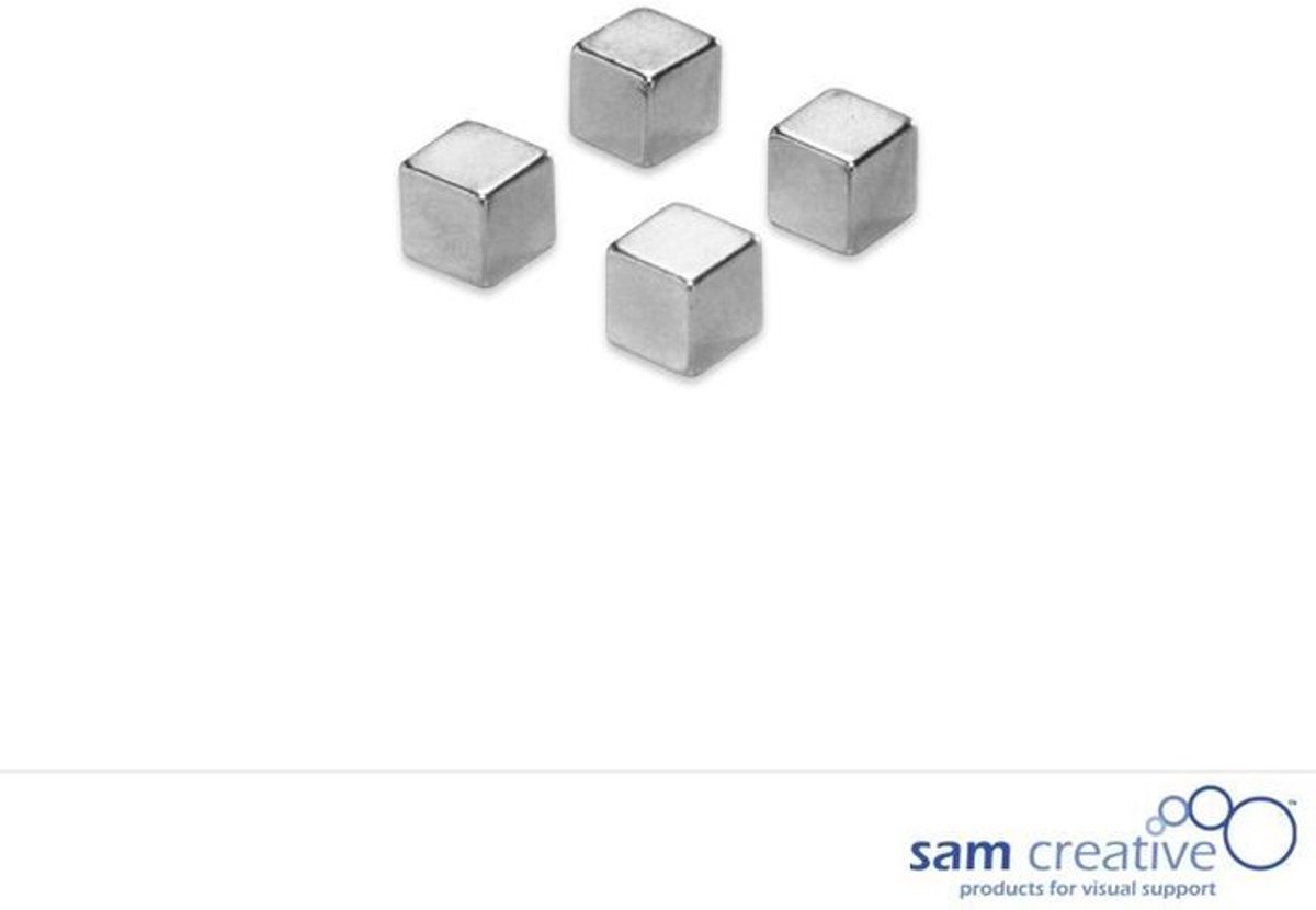 RVS kubus magneten set 4 stuks