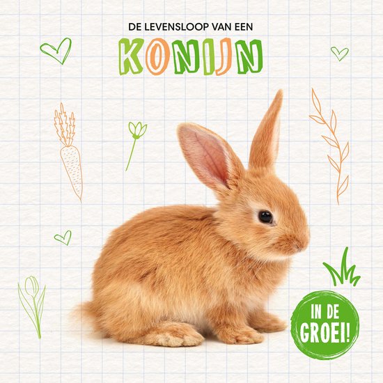 De levensloop van een… - Konijn