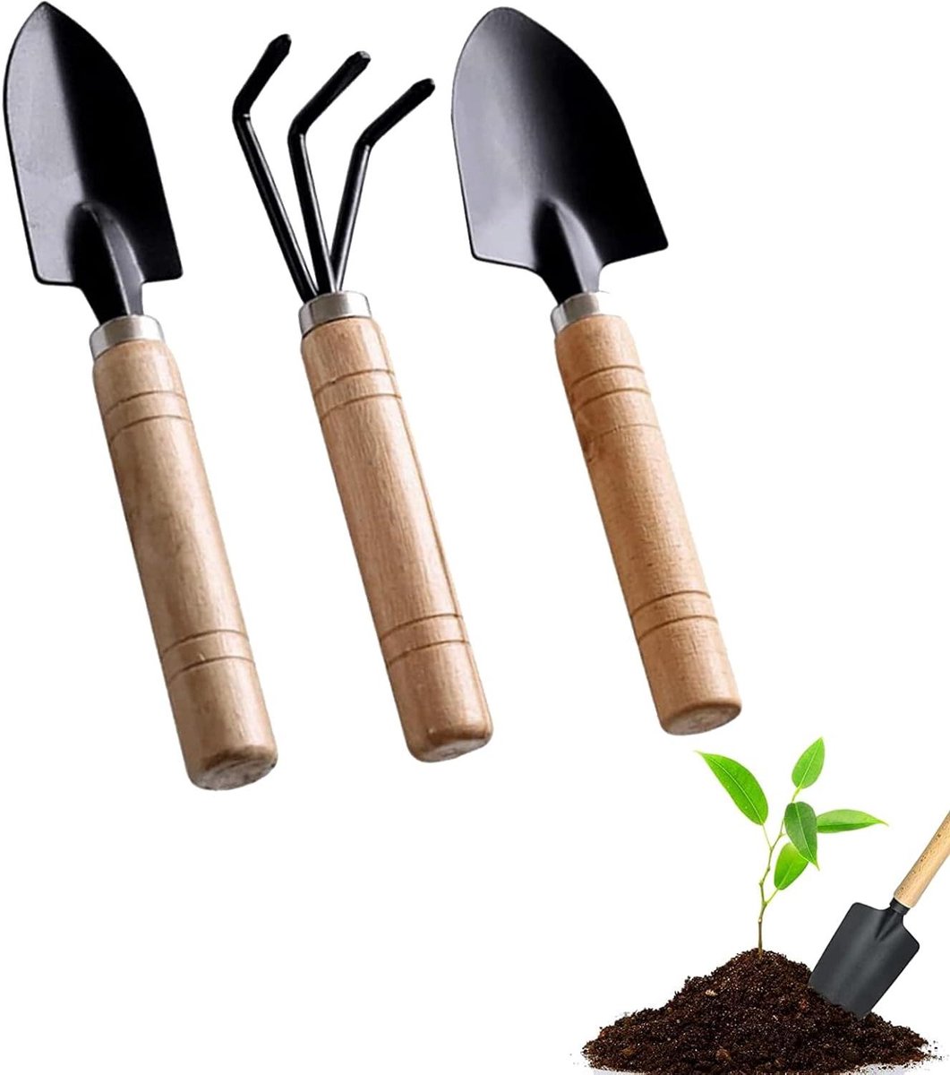 3-delige tuingereedschapset voor bonsai en bloemen, kleine tuinschop met houten handvat