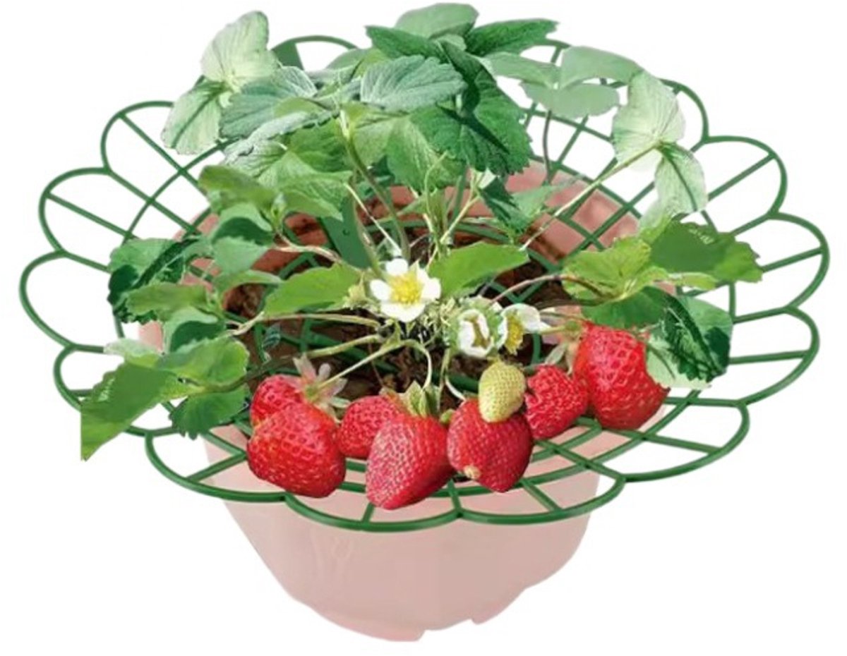Aardbei Enbakbeugel - 50 Stuks - Fruitgroene Plantsplitsing - Antirot en Onderdak - Hol Ontwerp - Steunframe voor Tuinieren - Aardbei Pantenrek - Groen