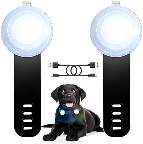 Illumifun LED-Halsband für kleine Hunde, wiederaufladbar über USB und Licht, verstellbares Nylon-Gurtband, Leuchthalsband für Ihre Welpen (blau, XS