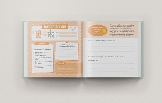 Een zwangerschapsdagboek met informatie over de twintigste week en een checklist.