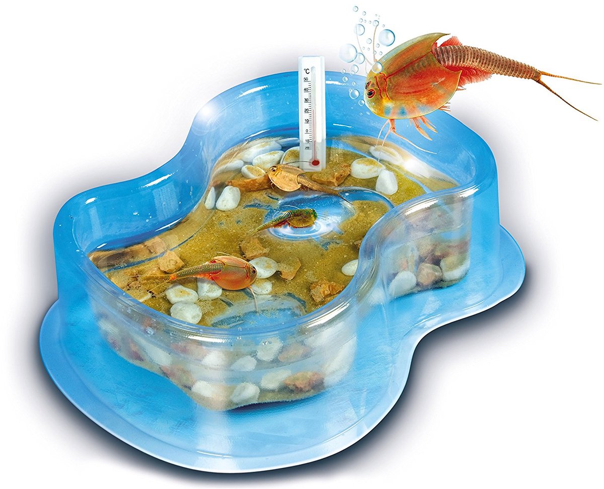 Clementoni Wetenschap & Spel - Kweek je eigen Triops - Experimenteerdoos - Educatief Speelgoed 8+ Jaar — cadeau in Spellen & Speelgoed - foto 8