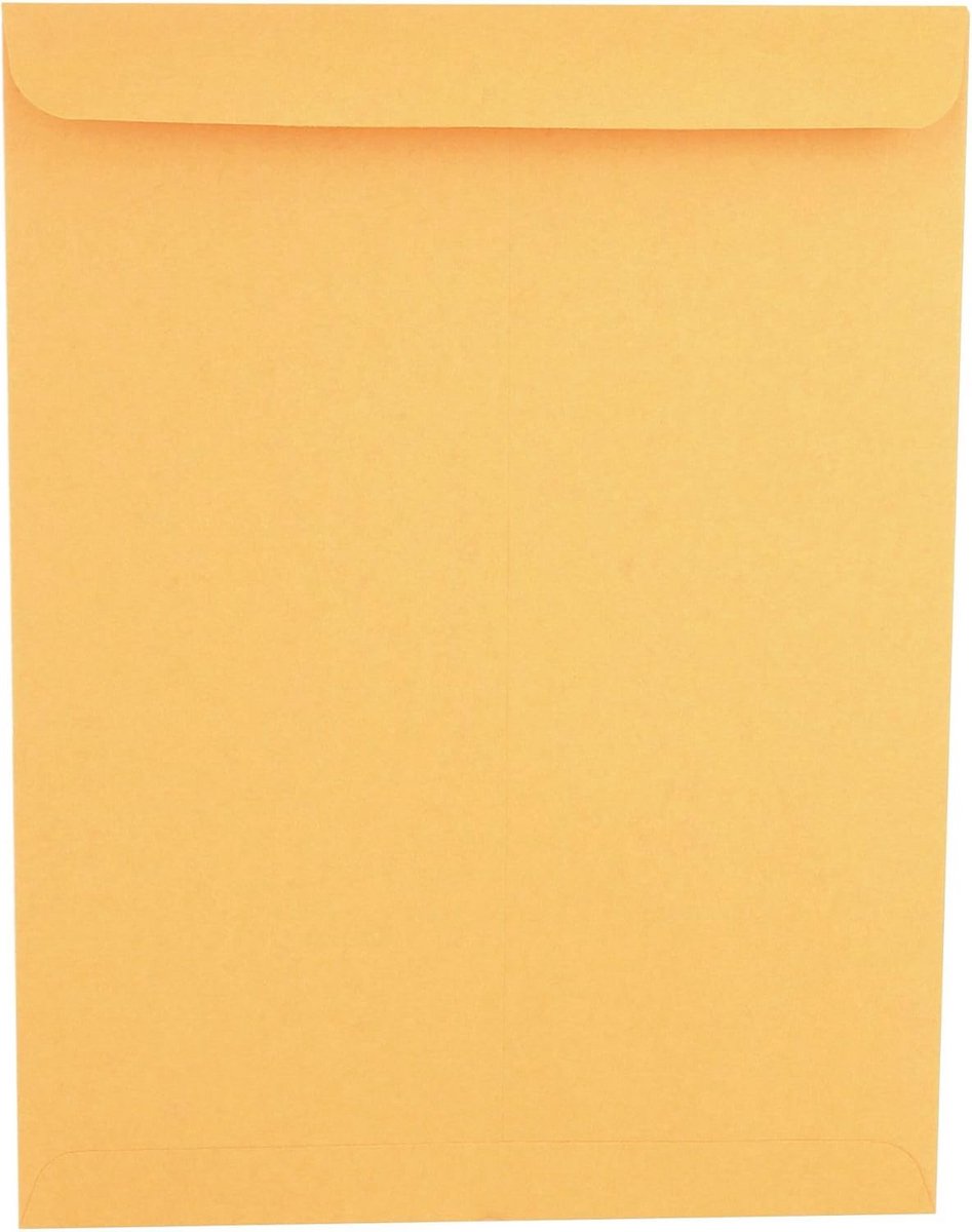 Bruine Katalogus Enveloppen 250 Stuks met Sluitklep - 25 x 33 cm