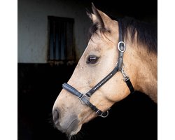 Harry's Horse Halster leder Finesse crystal Zwart - Cob | Zwart | Halstertouw paard