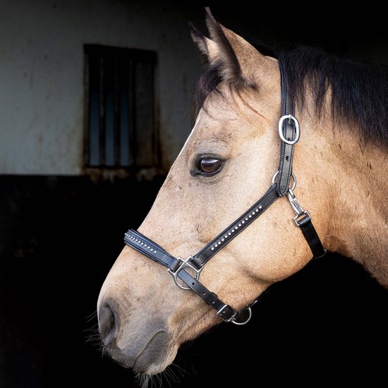 Harry's Horse Halster leder Finesse crystal Zwart - Cob | Zwart | Halstertouw paard Harry's Horse Halster leder Finesse crystal Zwart - Cob | Zwart | Halstertouw paard