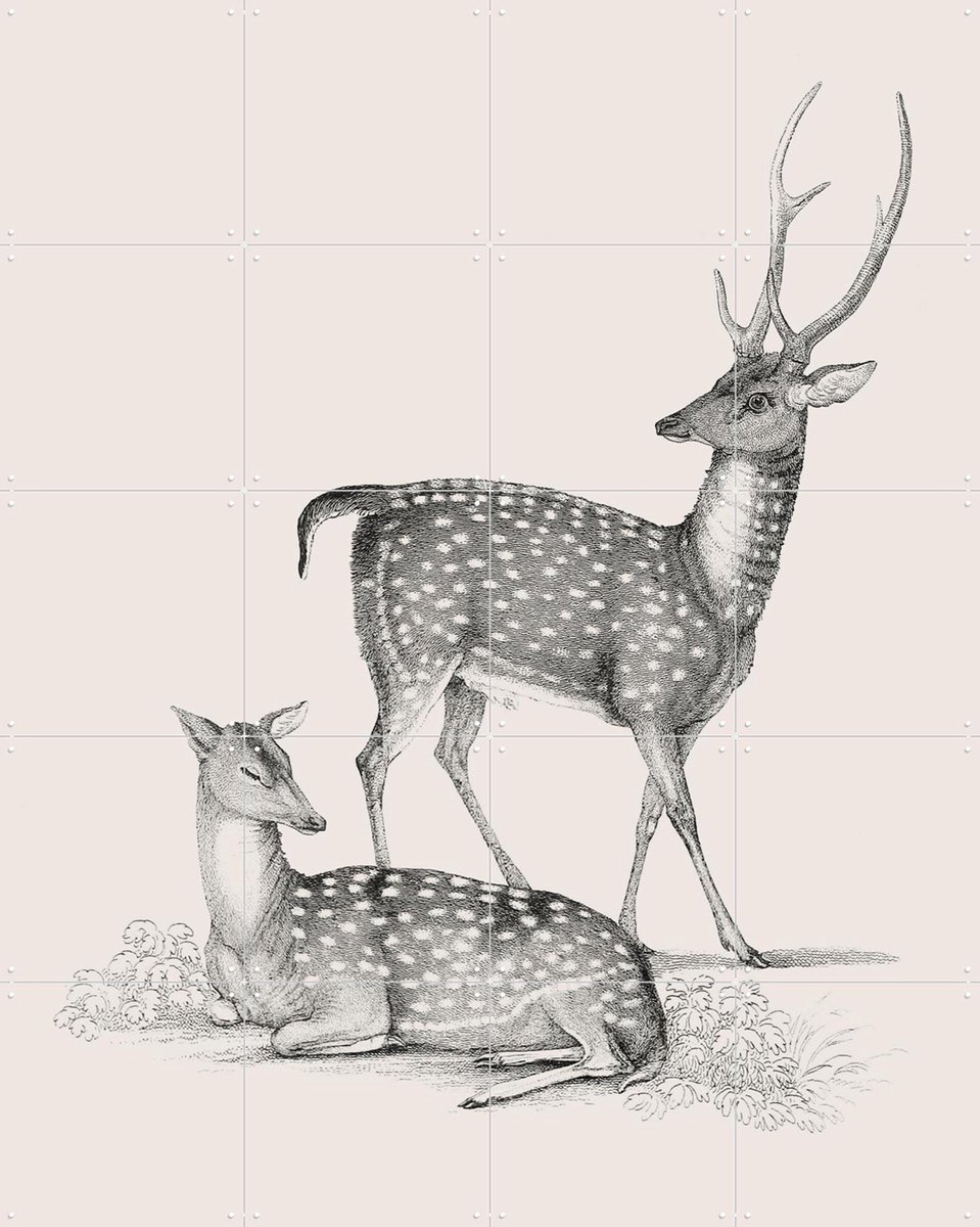 IXXI Deer light, IXXI - 80 x 100 cm - Gratis ophangtool - Grote wanddecoratie en posters - Illustraties, Vintage, Woonkamer, Natuur, Wilde dieren