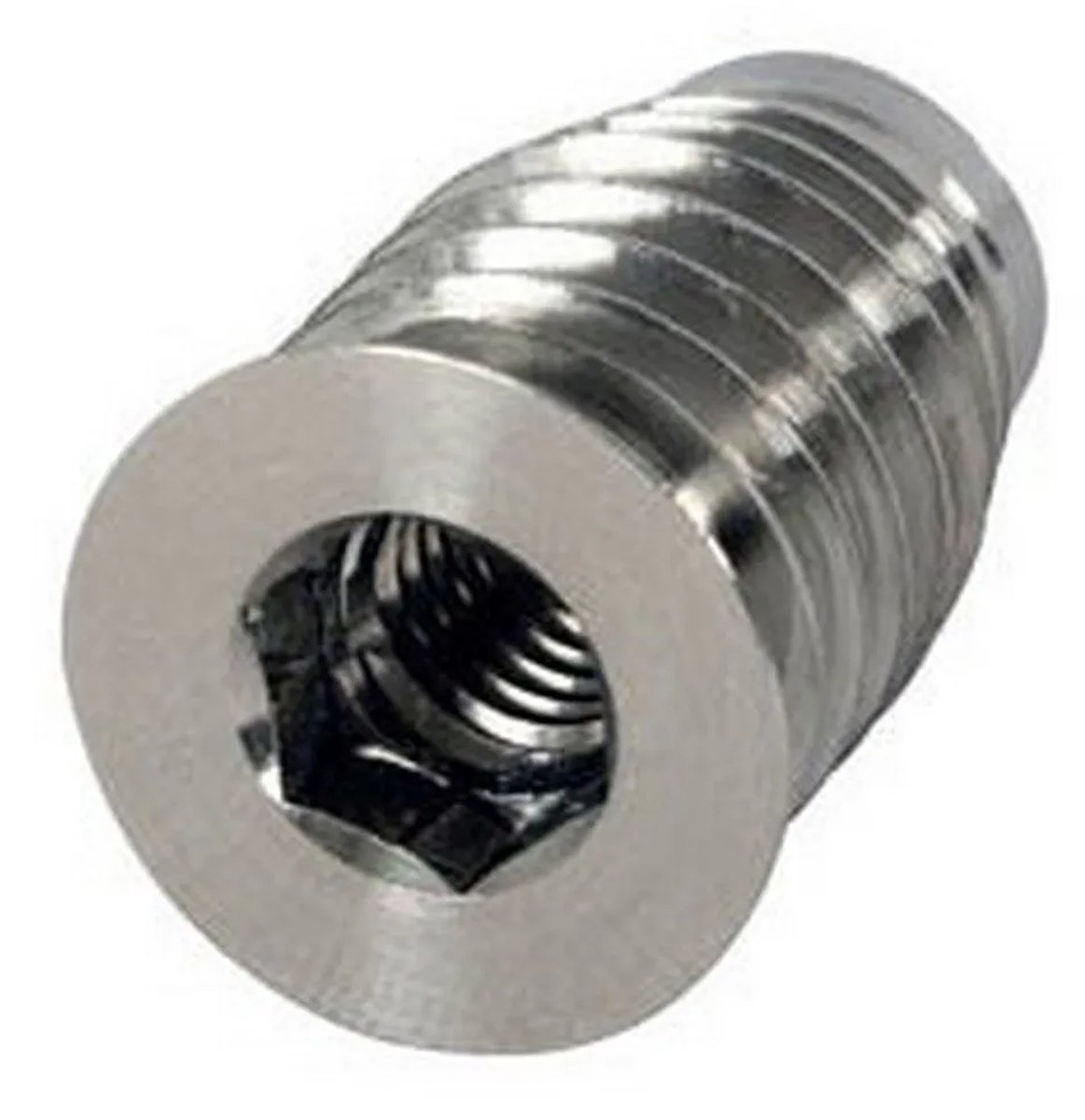 Seanox Roestvrij Staal M6 A4 Schroeven Zilver