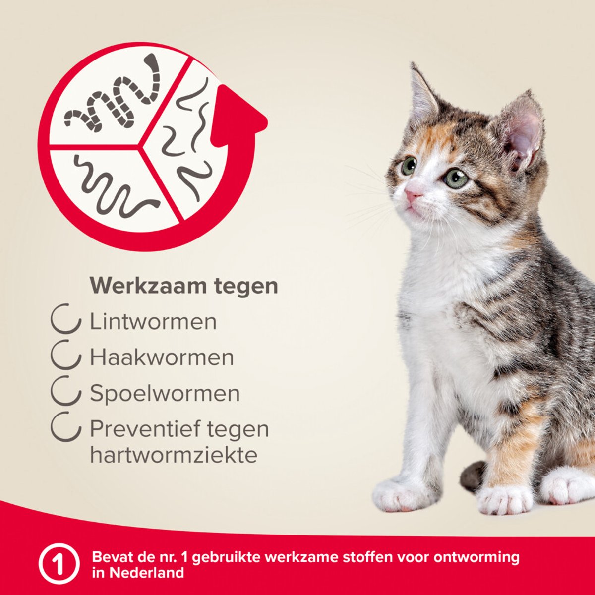 Beaphar Milquestra Kleine kat/kitten - 0,5 tot 4 Kg - 2 tabletten — afbeelding 6