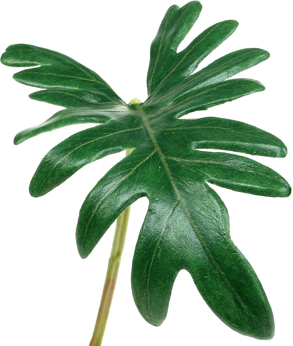 Blad Philodendron 31cm Groen 12 stuks, 12 Stück
