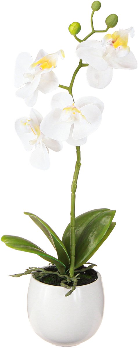 Witte orchideeën kunstbloemen in pot Phalaenopsis H33cm