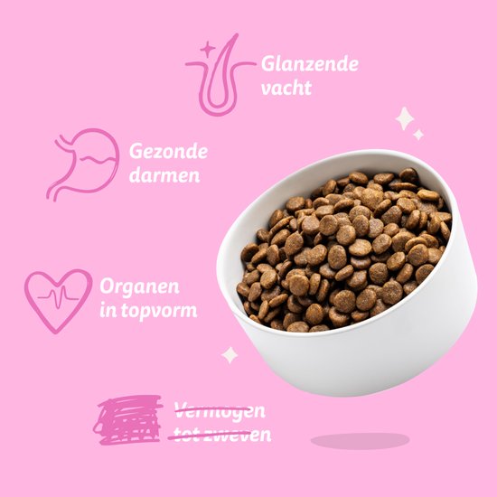 Witte kom gevuld met hondenbrokjes, naast illustraties van gezonde darmen en glanzende vacht.