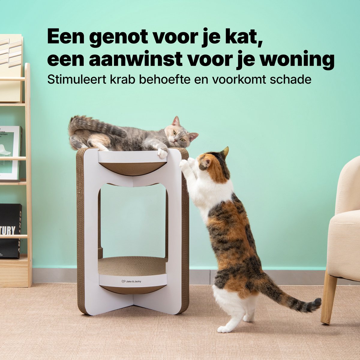 Jake and Jacky Krabkarton voor Katten - Krabpaal Karton - Krabplank - Krabmand - Krabmeubel - Kartonnen Krabmat - Kattenmand - Kattenbed - Kattentoren - 52x52x58cm – foto 6