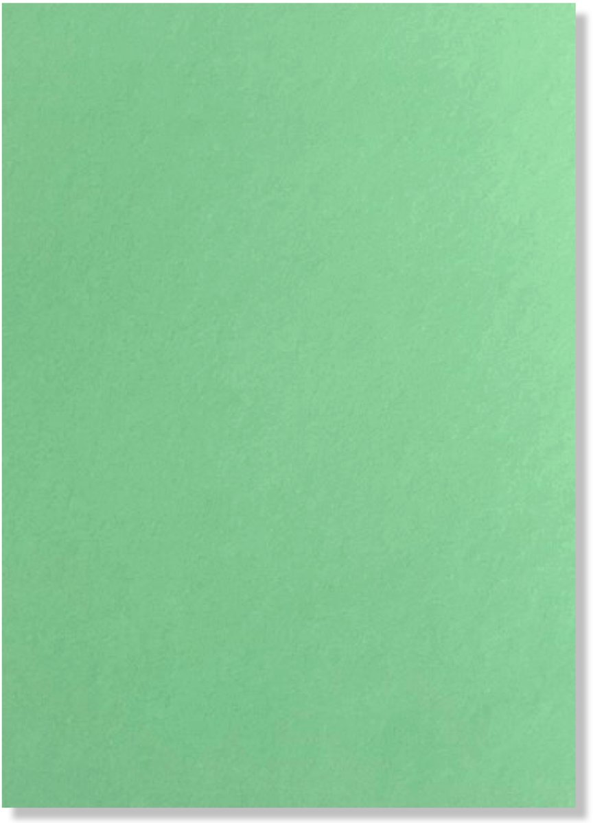 20 Vellen Pistache Groen A4 Hobby Karton - 250g/sm - 297x210mm - Glad Cardstock Papier