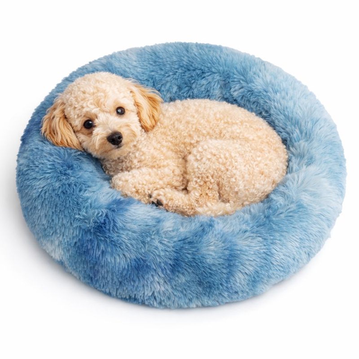 Dailyibed hondenmand - donut - hondenkussen - hondenbed - XXL - 80x80x16 cm - Hemelsblauw