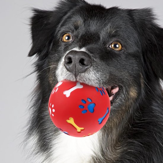 Zwarte en witte hond met gele ogen die een rode bal met bot- en pootafdrukken vasthoudt.