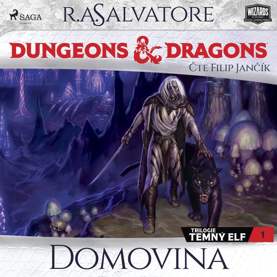 Dungeons & Dragons. Legenda o Drizztovi. Temný elf 1: Domov ... - cover