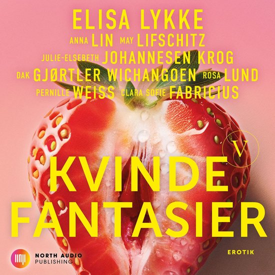 Kvindefantasier V - cover