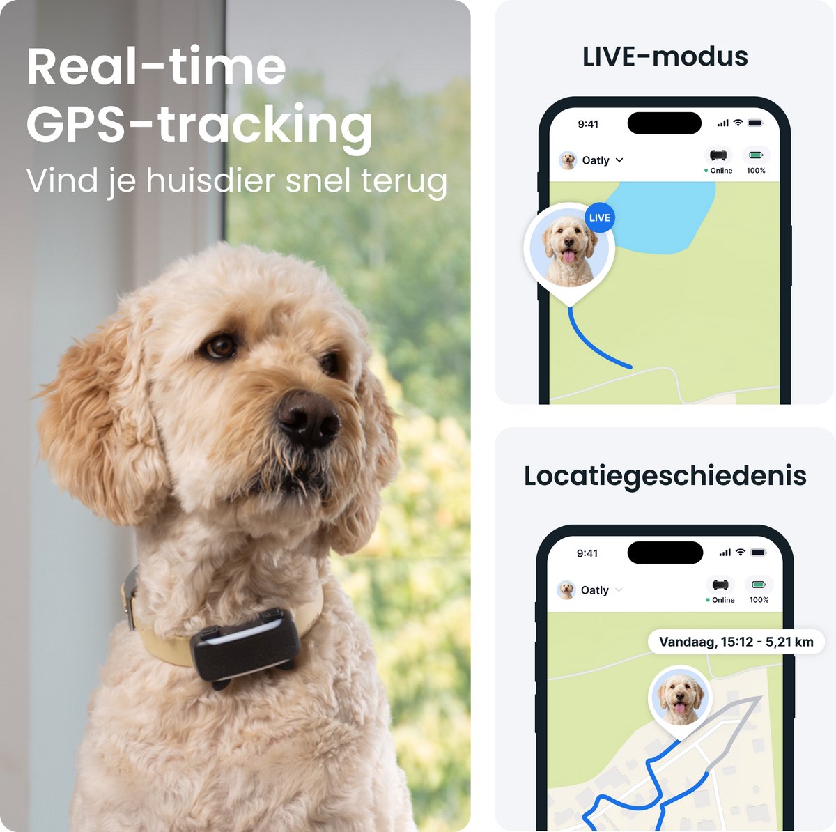 Tractive DOG 6 XL – Slimme gps-tracker voor honden met monitoring van vitale waarden en gezondheidswaarschuwingen, 6 weken batterijduur – Zwart thumbnail 8