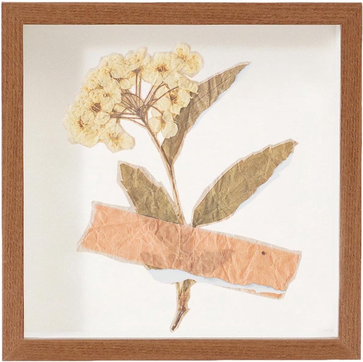 Herinneringsdoos met gleuf - Souvenir displaykastje - Herinneringen bewaren - Transparante wandmontage - 29x29x45 cm - Donkere walnoot