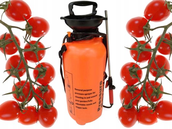 Drukspuit Tuin 10L Tuinsproeier Handpomp Plantenspuit met Lans en Schouderriem - Verstelbare Sproeikop - rugsproeier - Ideaal voor Tuin en Balkon - 56562 van Merkloos	 — afbeelding 2