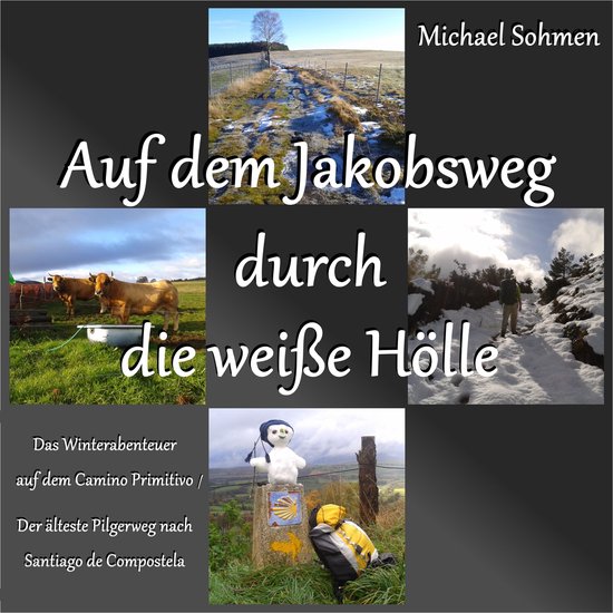 Auf dem Jakobsweg durch die weiße Hölle - cover