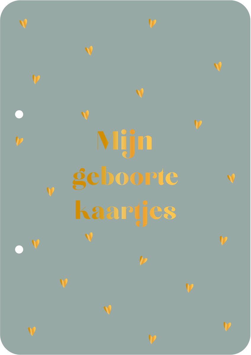Bewaarbundel Mijn geboortekaartjes - blauw - geboortekaarten bewaarbundel - met goudfolie - A5 formaat