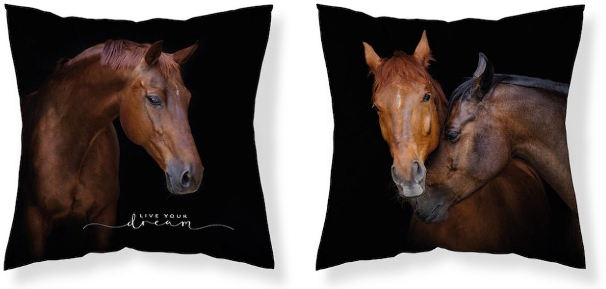 Paarden Sierkussen Paard kussen 40x40cm incl vulling