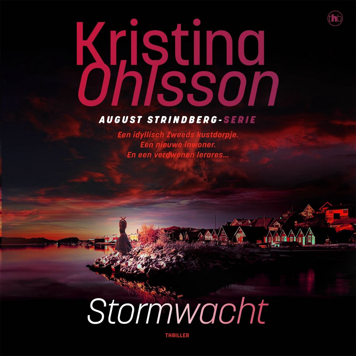 Omslag van Stormwacht