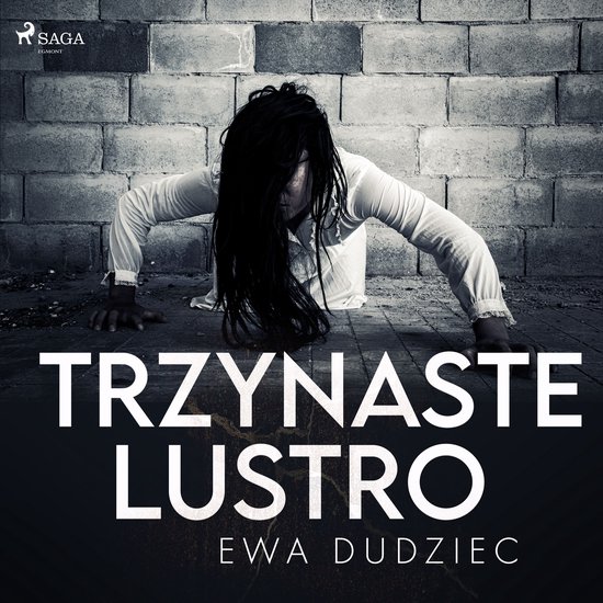 Trzynaste lustro - cover
