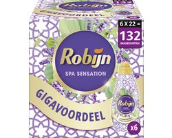 Robijn Klein & Krachtig Collections Vloeibaar Wasmiddel - Color Spa Sensation - Voordeelverpakking - 6 x 22 Wasbeurten