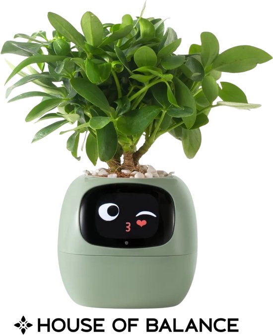 House of Balance Smart AI Bloempot - Planten pot - Bloem pot - Bloempot voor binnen -...